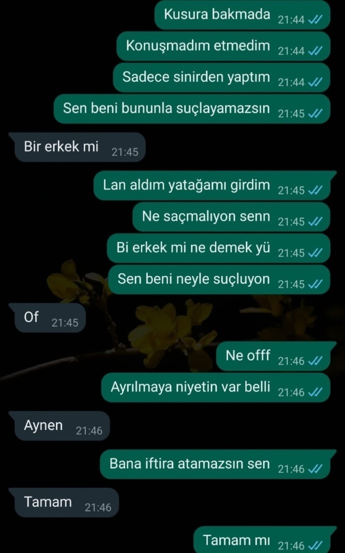 Böyle diyen eski sevgilinin doğum gününü kutlamalı mıyım sizce?