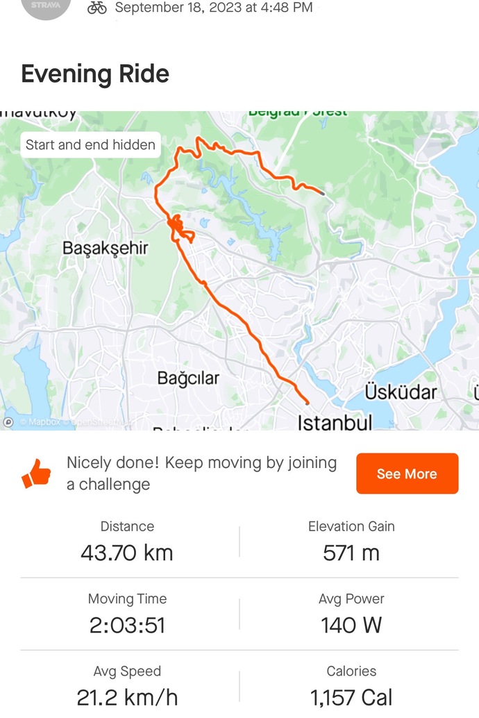 Arabaların çok geçtiği trafiğe bisikletle çıkar mısınız?