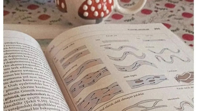 Torpil olmadan atanan var mı?