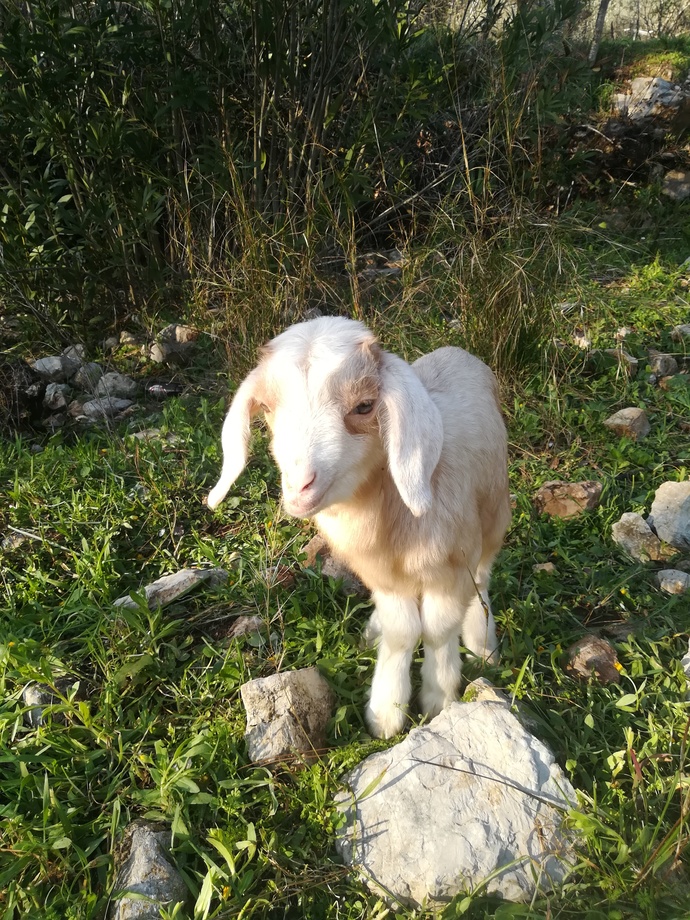 Hayatınızda kendinizden çok sevdiğiniz biri var mı (aşk anlamında değil)?