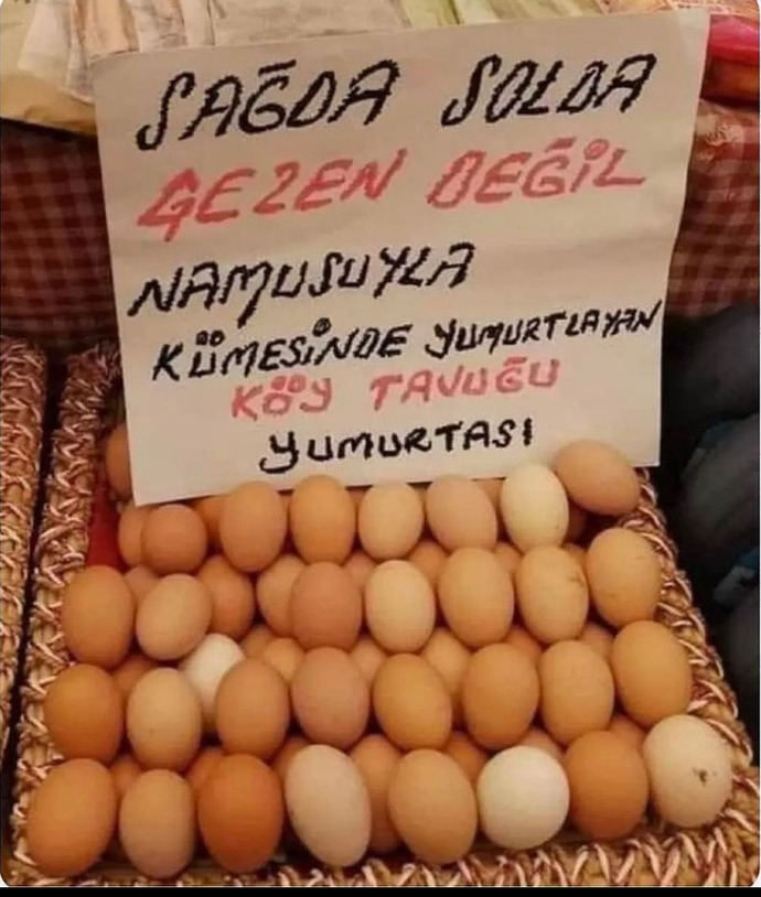 Yumurta sever misiniz?