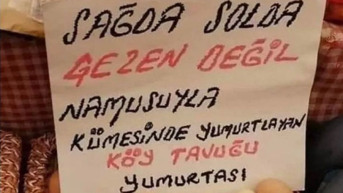 Yumurta sever misiniz?