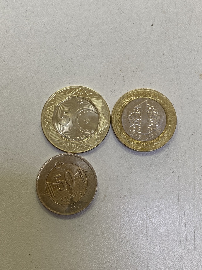 Yeni basım 5 TL elinize geçti mi?