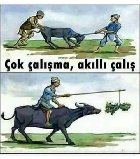 Tek başına mücadele etmekten borçtan hayatta kalmaya çalışmaktan bıktım herkesin ailesi eşi dostu destek oluyor ben niye şanssızım?