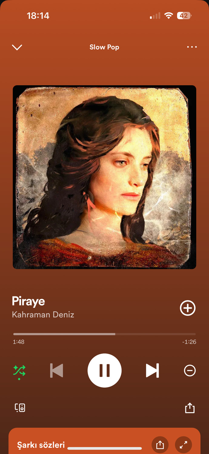 Şarkıları neye göre beğenip dinliyorsunuz?