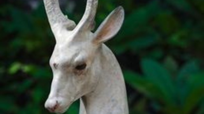 Kızılderili burcunuz ne kadar kişiliğiniz yansıtıyor?