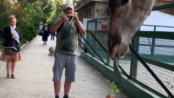 Hayvanat bahçesinde yaşamak zorunda kalsaydınız, hangi hayvanla kalmak isterdiniz?