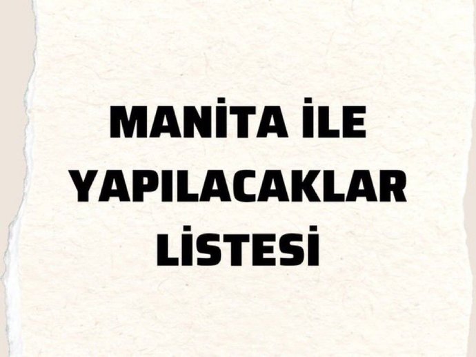 Manita ile yapılacaklar listesi hazırlasanız ilk 3 maddeniz ne olurdu?