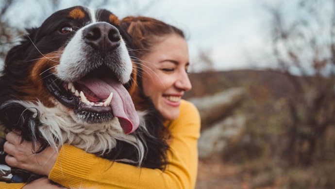 Hollandada köpek sahiplenmek isteyenler artık zorunlu kursa tabi tutulacakmış! Türkiyede de bu olmalı mı?