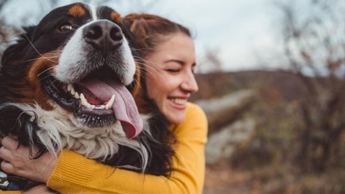 Hollanda'da köpek sahiplenmek isteyenler artık zorunlu kursa tabi tutulacakmış! Türkiye'de de bu olmalı mı?
