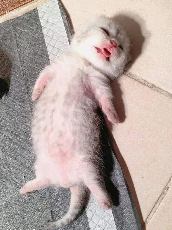Bulunduğunuz ortamda ne olursa, rahatsız olursunuz?