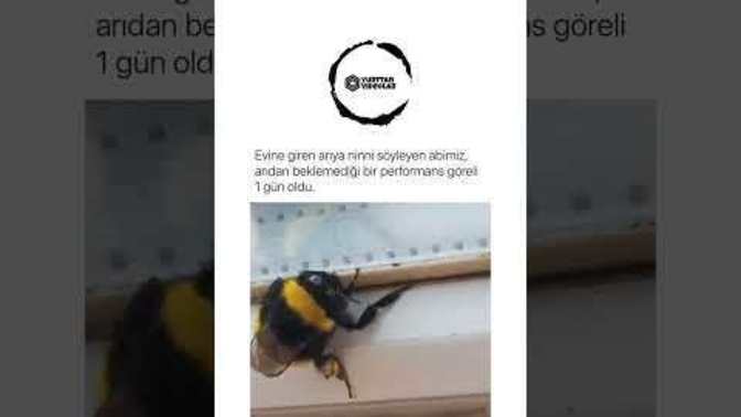 Başka ülkede yaşayamam diyor musunuz?