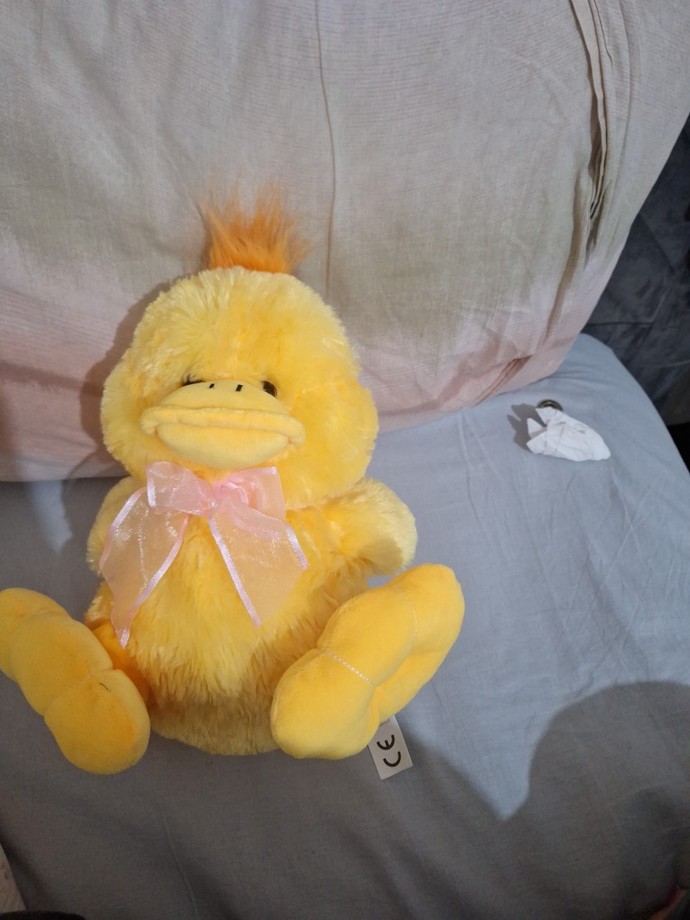 Oyuncağım nasıl duruyor, kıskandınız değil mi :D?