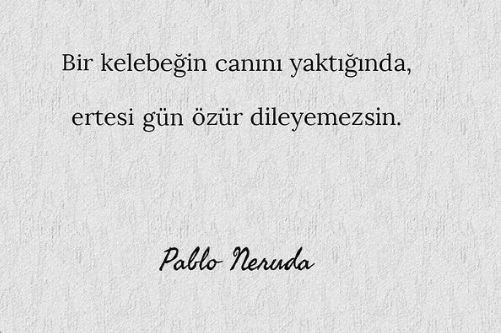 Çünkü o kelebek sadece 3 gün yaşar. Belki de sen döndüğünde her şey için çok geçtir.