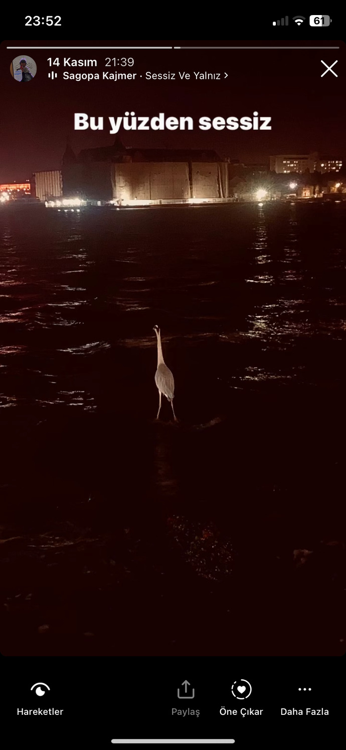 İstanbul sahilinde tek başına gemileri izleyen kuş görüntülenmiş. Siz de bu kadar dertli misiniz :D?