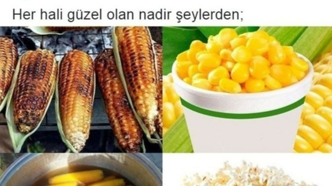 Mısırın hangi halini seversiniz?
