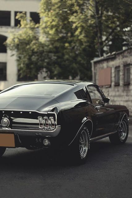 Arabanın markası mı, modeli mi senin için daha önemli🏎?
