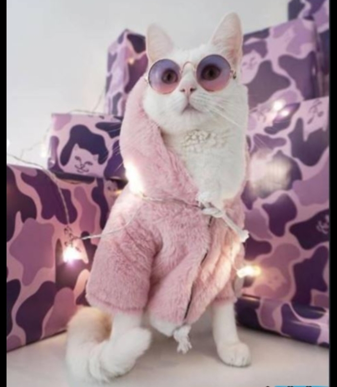 Cool olup olmadığınızı söylememi ister misiniz 😎?