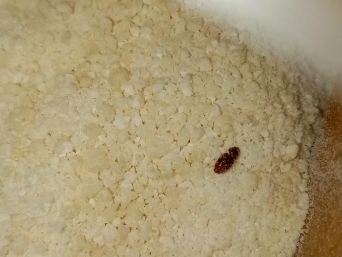 Bu şey ne sizce iade etsem mi tarhana dan çıktı?
