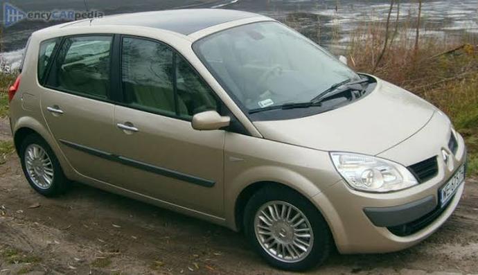 Megane-2'deki gibi bunlardan da bej rengine hastayım. 