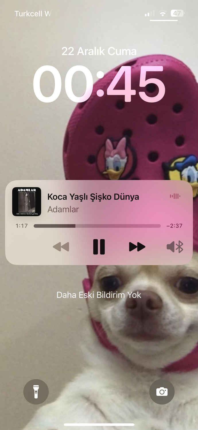 Telefon ana ekran görüntüleriniz nedir?