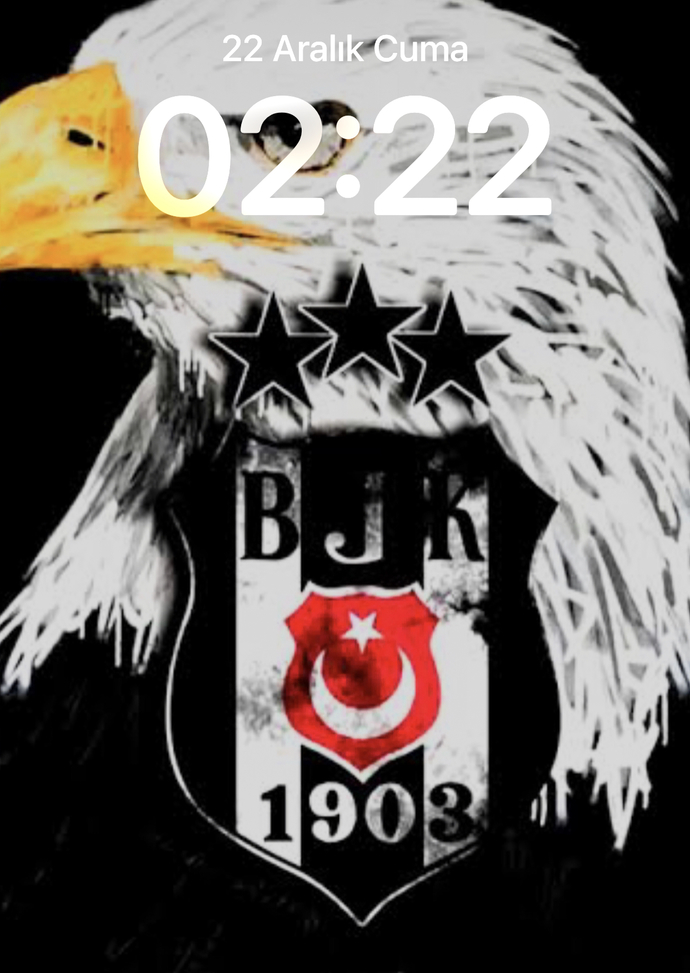 Telefon ana ekran görüntüleriniz nedir?
