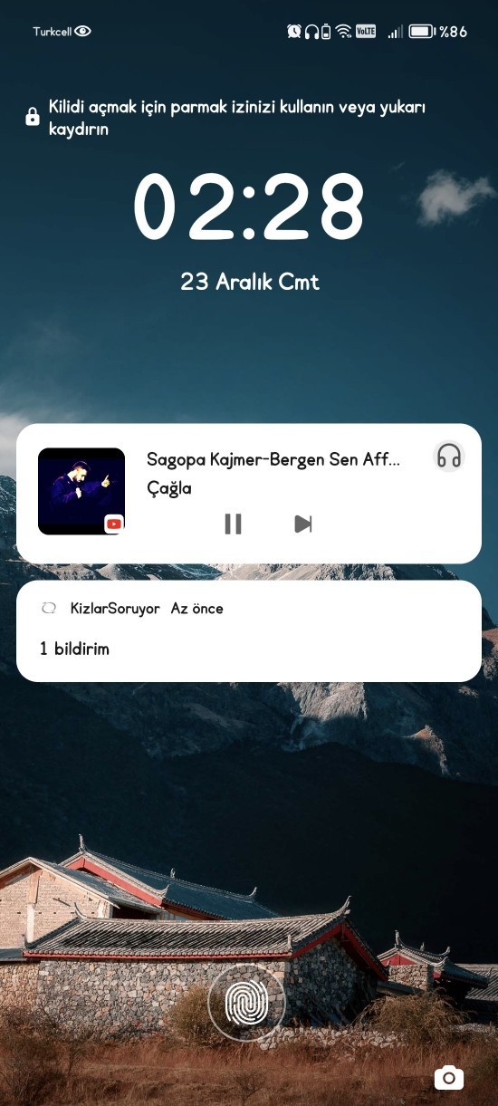 Telefon ana ekran görüntüleriniz nedir?