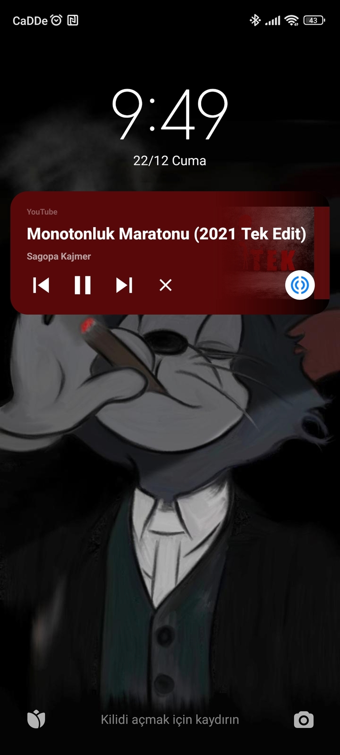 Telefon ana ekran görüntüleriniz nedir?