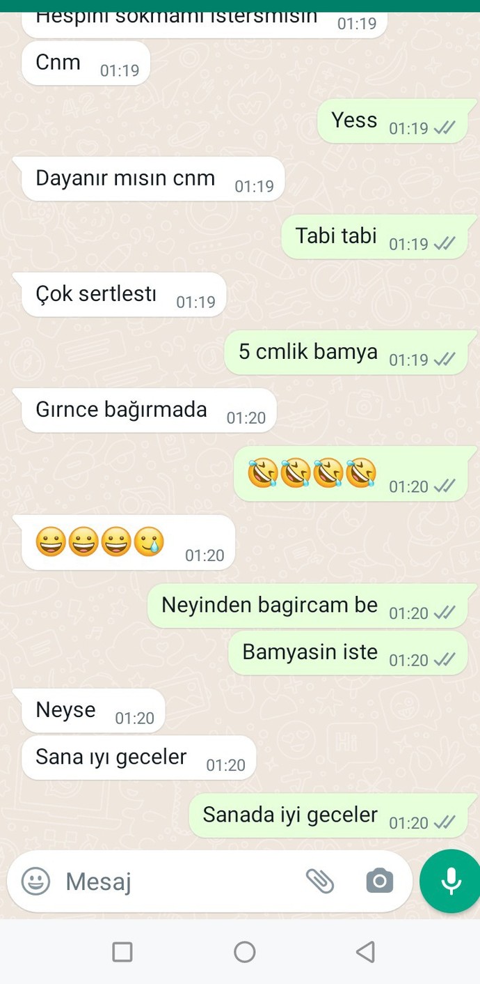 Cinsellik konuşmaya ısrar etmeye çalışan flörte ağzının payını iyi vermiş miyim?