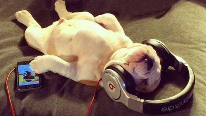 En güzel müzik türü sence hangisi?