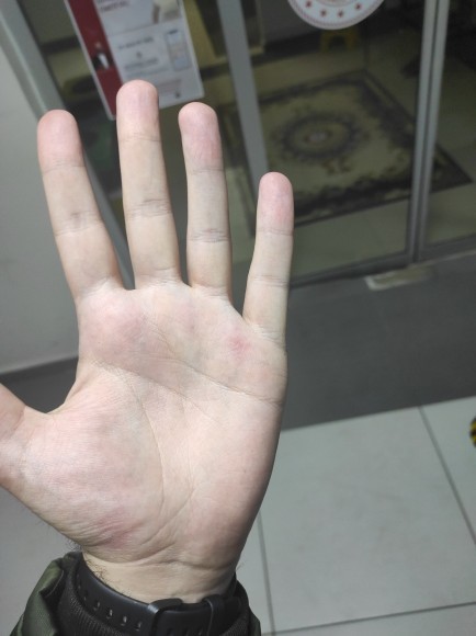 Ajda Pekkan’ın en sevdiğiniz parçası hangisi?