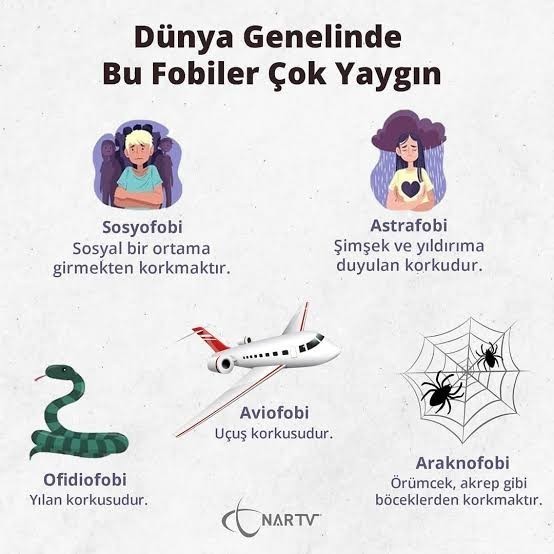 Fobilerin neler?