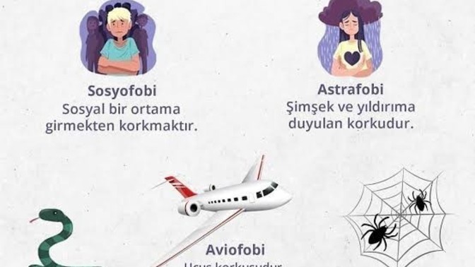 Fobilerin neler?