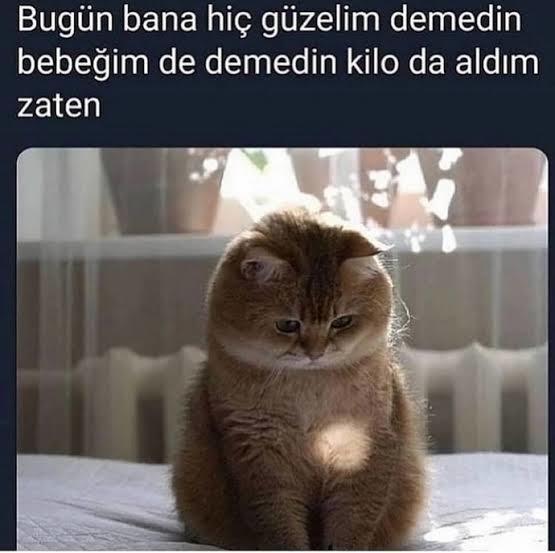🙈