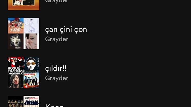 Çalma listelerini neye göre düzenliyorsun?