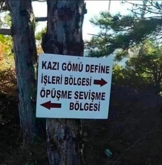 Senin tarafın hangisi?