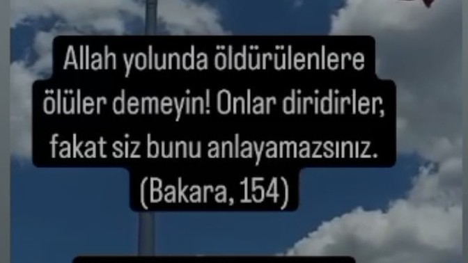 Başımız sağolsun hepimizin?