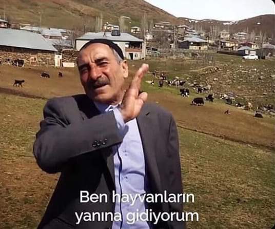 Pazar günü ne yapmali?
