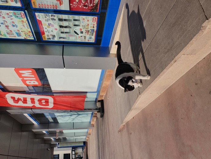 En çok tercih ettiğiniz market hangisi?