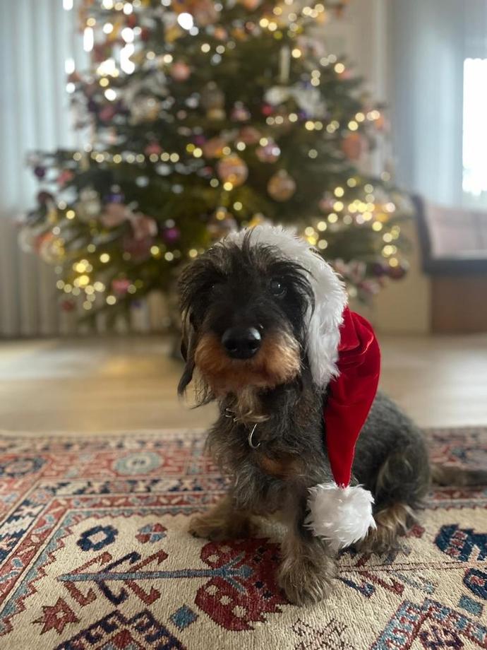 Bug&uuml;n Noel 🥰 biz hazırız 🎄🫶