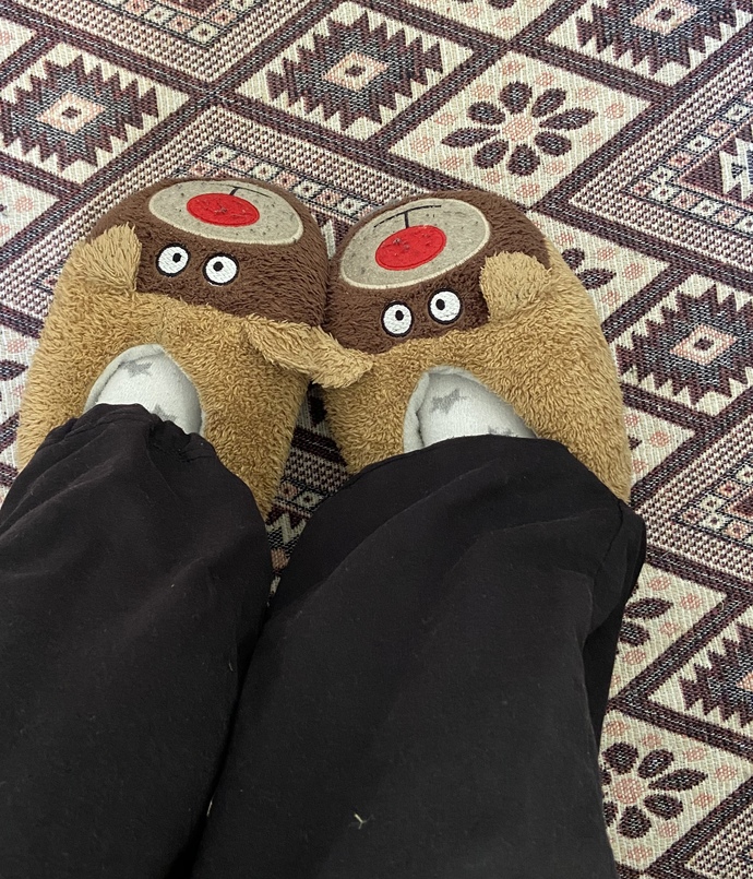 Yeni ciciler aldım, nasıl?