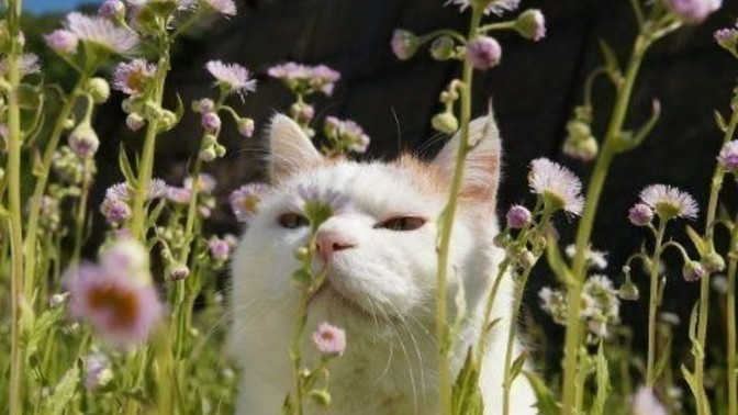 Kendini 1 kelimeyle tanıtır mısın🌸?