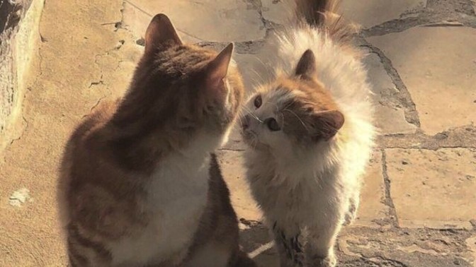 Gerçek aşkı buldunuz mu?