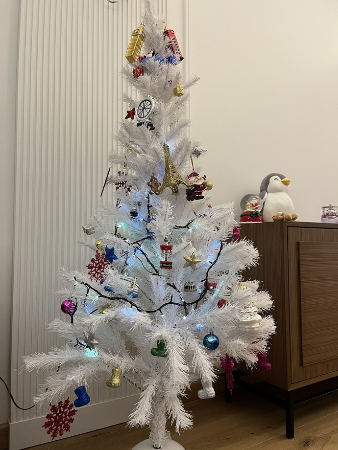Yeni yıla hazır mıyız? Çam ağaçları kuruldu mu 😂🎄?