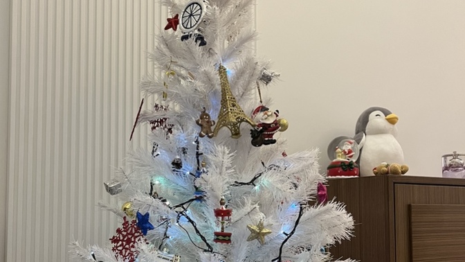Yeni yıla hazır mıyız? Çam ağaçları kuruldu mu 😂🎄?