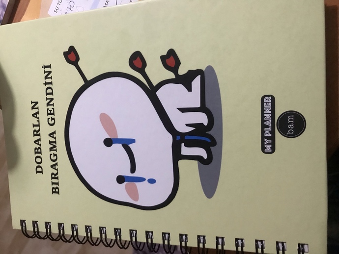 Yeni yılda planlı biri olmaya karar verdim. Yeni planner defterim nasıl?