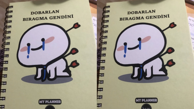 Yeni yılda planlı biri olmaya karar verdim. Yeni planner defterim nasıl?