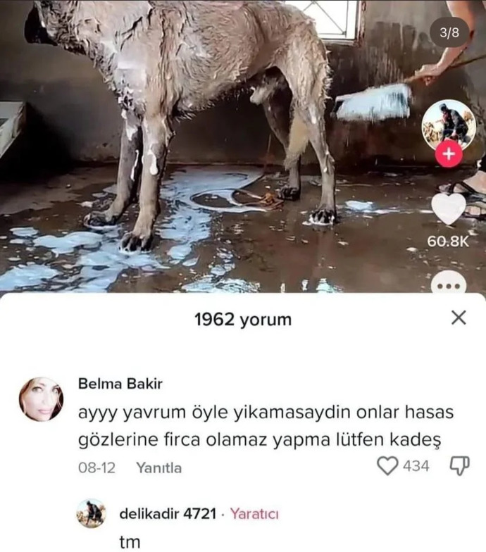 Size karşı yapılan eleştirileri nasıl karşılıyorsunuz?