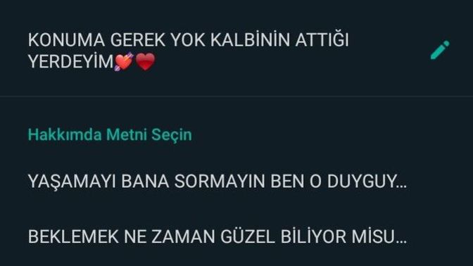 Şu anki WhatsApp durumunuzda ne yazıyor?