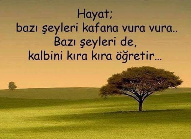 Hayat bugün size ne öğretti?